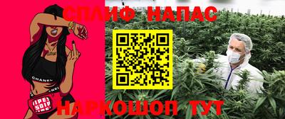 стаф Заводоуковск